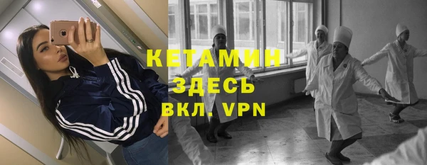 индика Бородино