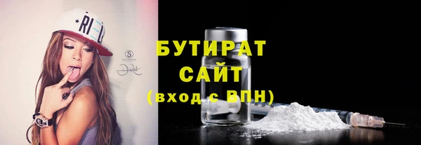 индика Бородино