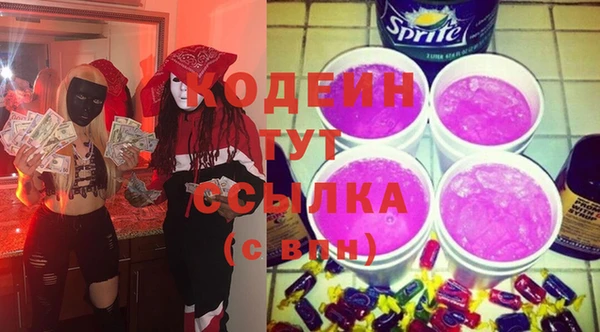 индика Бородино