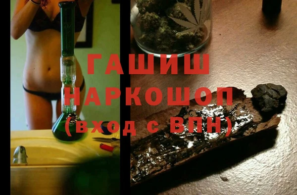 индика Бородино