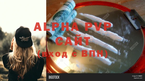 индика Бородино