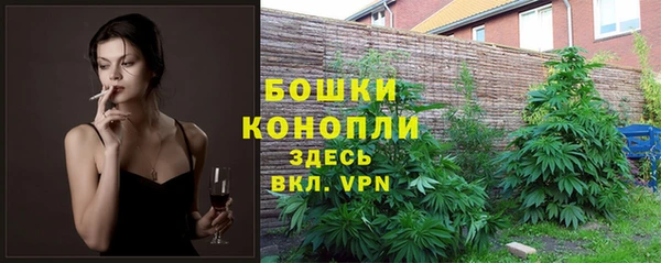 Альфа ПВП Бугульма