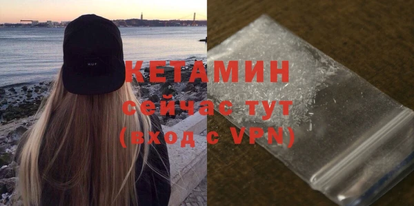 индика Бородино