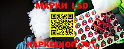 индика Жуковский