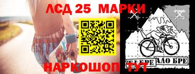 индика Жуковский