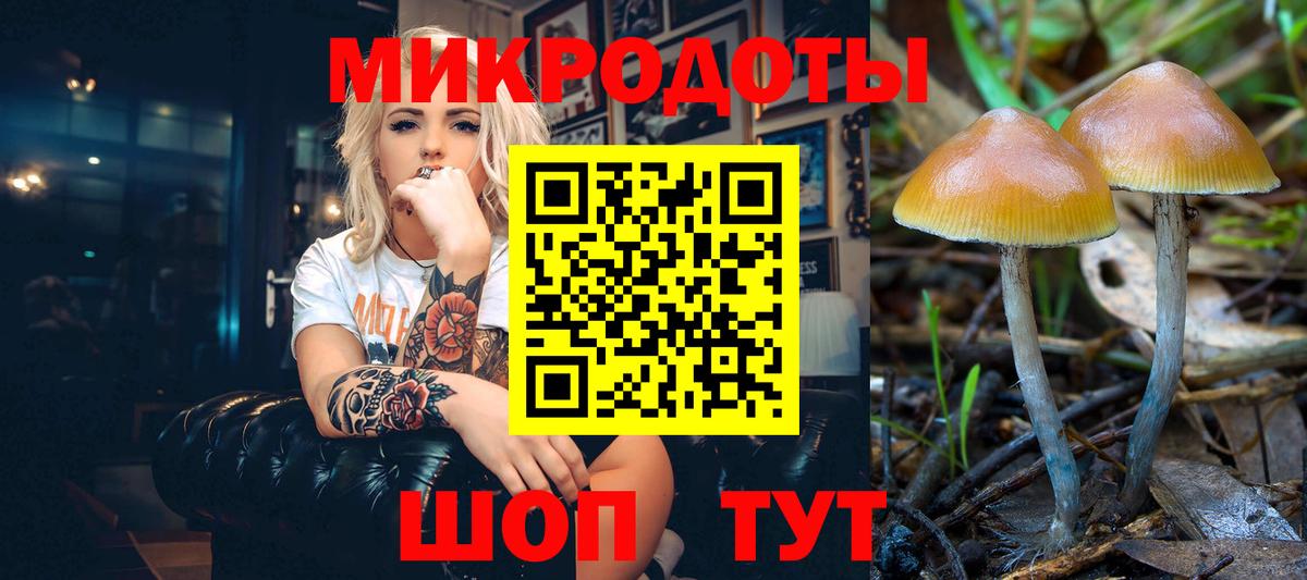 Северск  наркотики  Галлюциногенные грибы Cubensis  Вход с VPN  Псилоцибиновые грибы MAGIC MUSHROOMS 
