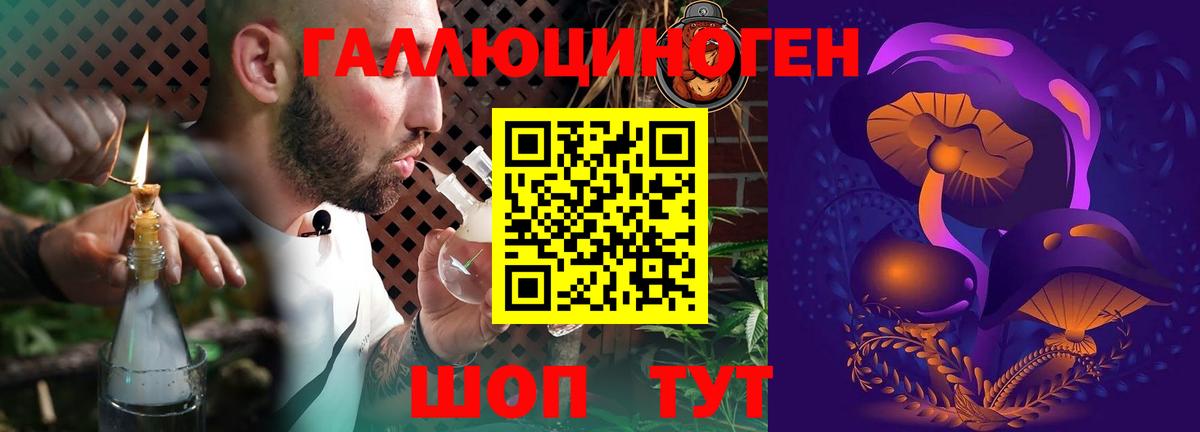 Галлюциногенные грибы Psilocybine cubensis Северск